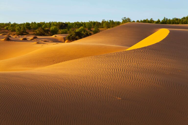 Saigon – Cu Chi Tunnels – Mekong – Mui Ne Muslim Tour 5 Days