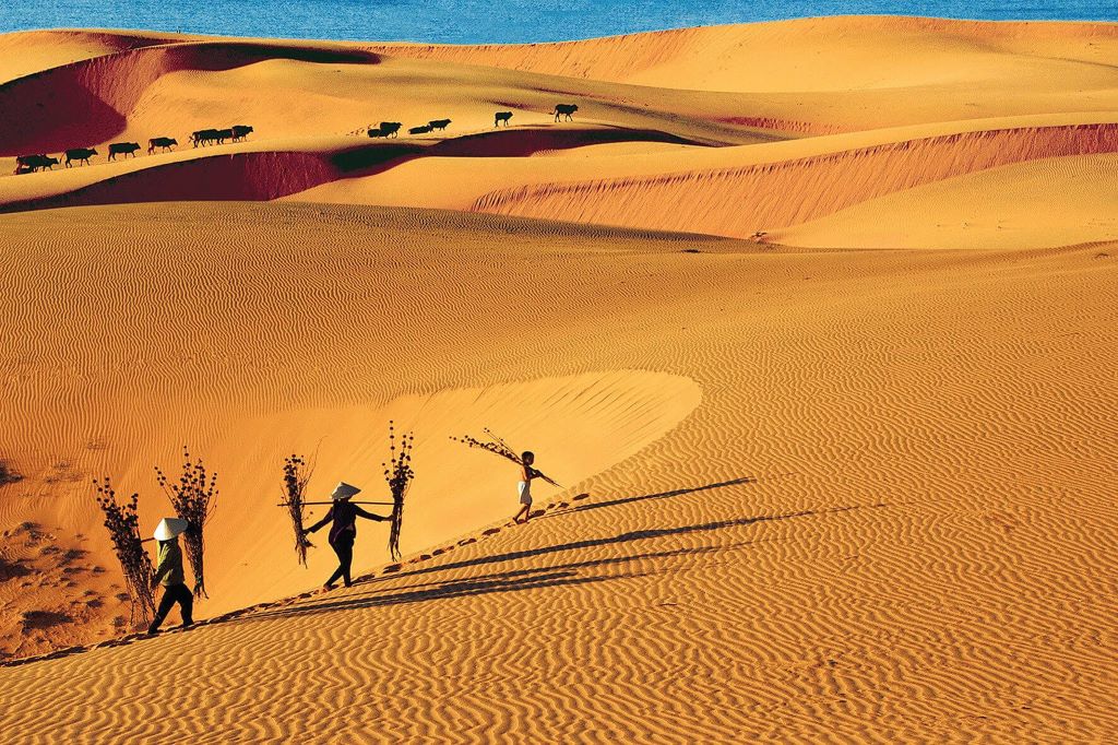 Saigon Muslim Tours – Private Halal Tours in Ho Chi Minh City & Vietnam Ho Chi Minh – Mui Ne – Dalat Muslim Tour 5 Days