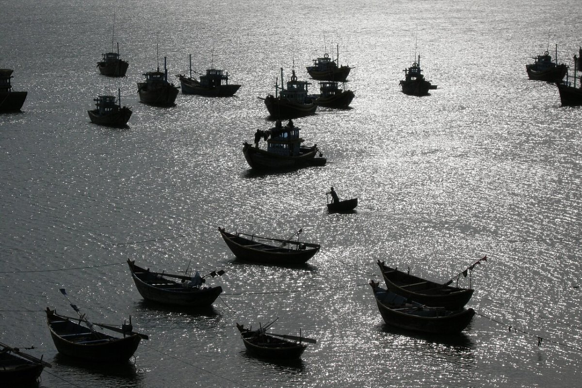 Halal Restaurants in Mui Ne 2026: Every Halal Option Checked, with Mosque and Seafood Tips Round fishing boats and trawlers anchored in Mui Ne harbour