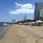 Halal Restaurants in Nha Trang 2026: 7 Verified Places by Area, from the Tourist Quarter to the Cham Kitchen Halal Restaurants in Nha Trang 2026: 7 Verified Places by Area, from the Tourist Quarter to the Cham Kitchen