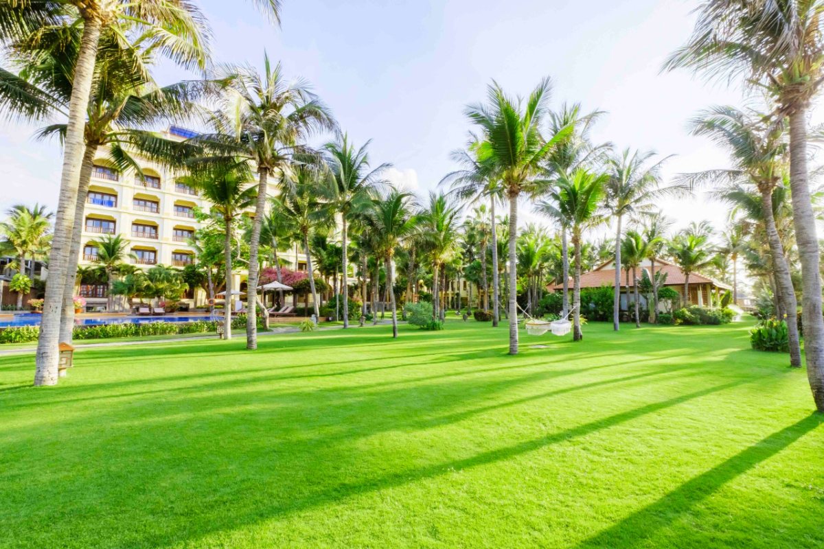 Garden lawn and palm trees at Sunny Beach Resort & Spa